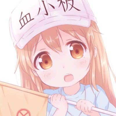 十日终焉最新阵容